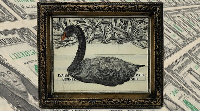 black swan bitcoin art by cryptograffiti